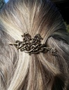 Bild1
