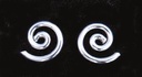 Bild1