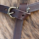 Bild1