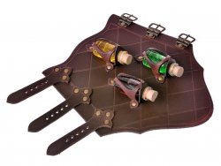 Armschützer mit drei Trankflaschen Bild 3