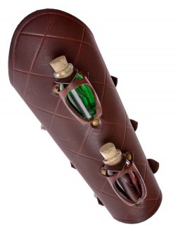 Armschützer mit zwei Trankflaschen Bild 5