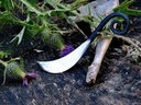 Druiden-Messer - SA Bild 5