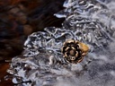 Fingerring "Tudor-Rose" Bild 5