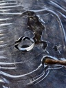 Fingerring "Wendel" Bild 4