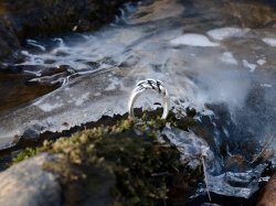Wikinger-Ring "Wolin" Bild 4