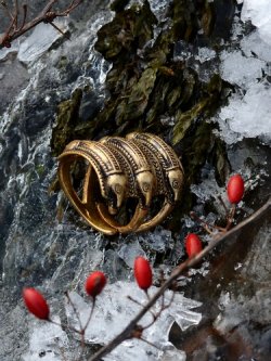 Germanen-Ring "Segerstad" Bild 3