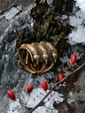 Germanen-Ring "Segerstad" Bild 3