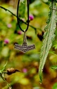 Der Mjoelnir von Bornholm Bild 3