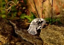 Raben-Fibel Vendel - links Bild 4