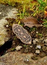 Gleicharmige Wikinger-Fibel aus Birka Bild 4