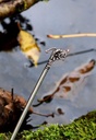 Haarnadel "Haithabu" Bild 4