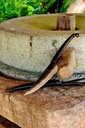 Keltisches Ringknauf-Messer - kurz Bild 4
