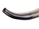 Wikinger-Signalhorn 1