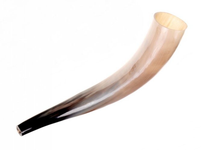 Wikinger-Signalhorn 2