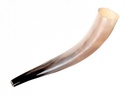 Wikinger-Signalhorn 2