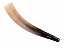 Wikinger-Signalhorn 3