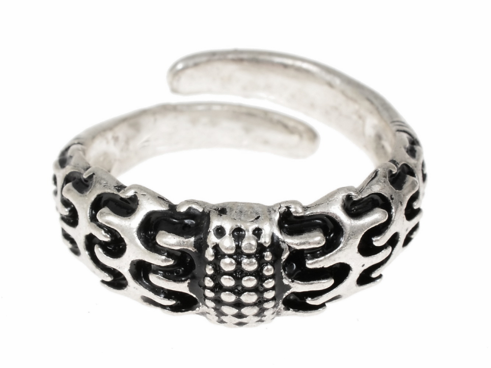 Wikinger-Ring 'Falster' 1