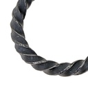 Eisen-Ring mit Tordierung 1