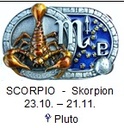 Sternzeichen Skorpion - Scorpio, 4cm Schließe, Schnalle