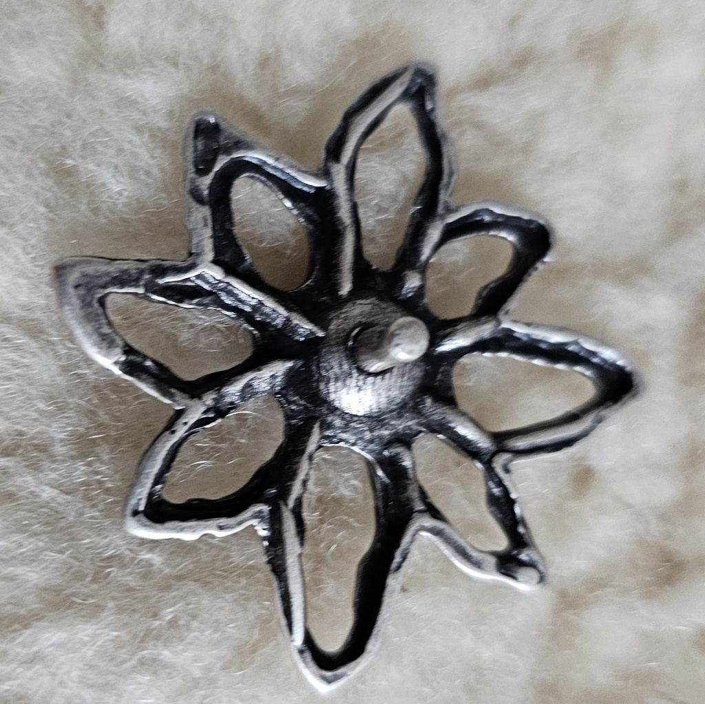 EDELWEISS outline, Fb:silber,Beschlag