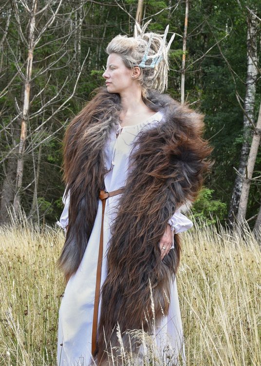 Bild1