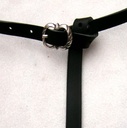 Bild1