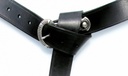 Bild1