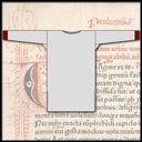 Tunika lang, Ärmel lang und mit Besatz, 100 % Leinen - Gewand aus eigener Schneiderei für Mittelalter und Larp