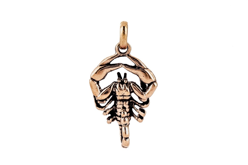 [amb199] Amulett, Anhänger 'Skorpion Imperator' aus Bronze - Mittelalter, Larp, Fantasy Schmuck