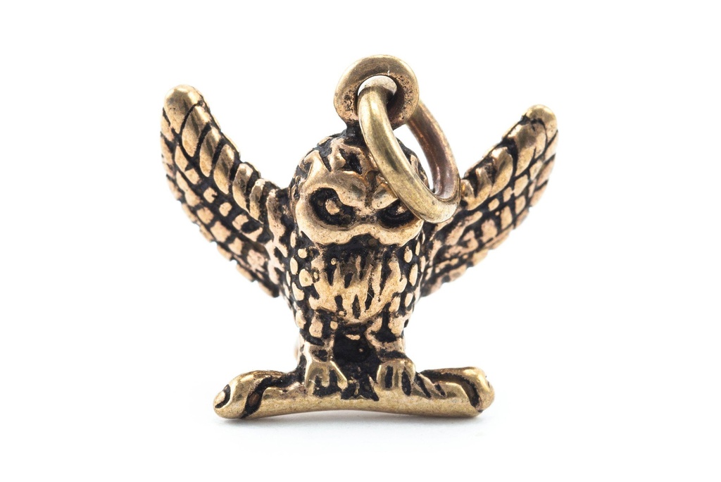 [amb548] Amulett Anhänger "Svjenja – Uhu" aus Bronze – Weisheit & Schutz 2 cm