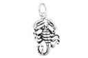 Skorpion-Anhänger STICH aus 925er Silber – Symbol für Schutz und Transformation (2,3 cm)