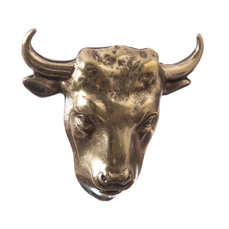 Stierkopf, messingfarbener Beschlag