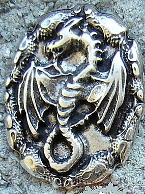 [N-181-1] Drachen Amulett, silberfarbener Beschlag