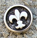 Fleur de Lys, silberfarbener Beschlag