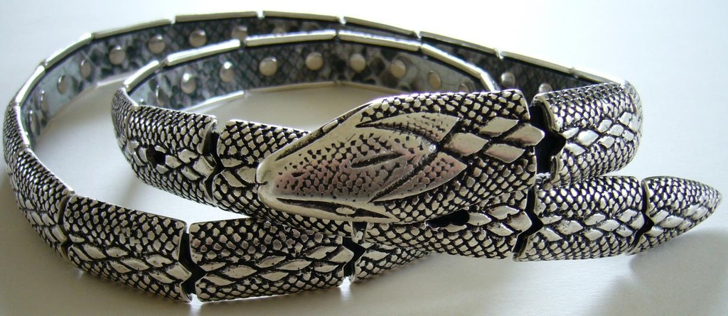 [32255] Silver-Snake