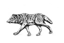 Amulett, Anhänger 'Rubion - Gehender Wolf' aus Silber 925 - Mittelalter, Larp, Fantasy Schmuck