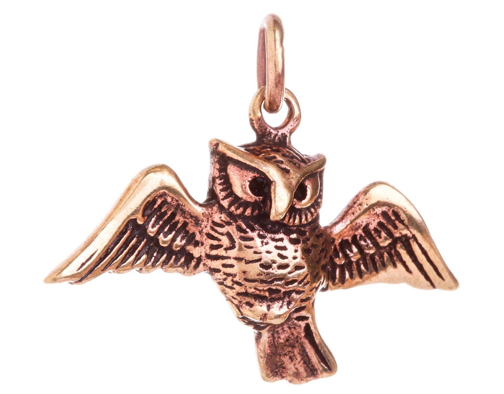 [WK2015-amb181] Amulett, Anhänger 'Eule Gaena im Flug' aus Bronze - Mittelalter, Larp, Fantasy Schmuck
