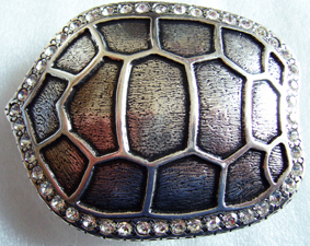 Carapax - Schildkrötenpanzer