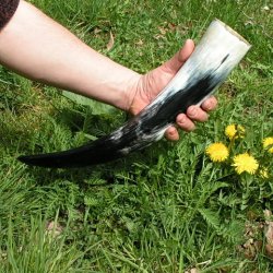 Wikinger Trinkhorn XL aus Rinderhorn - 0,6 - 0,65 l
