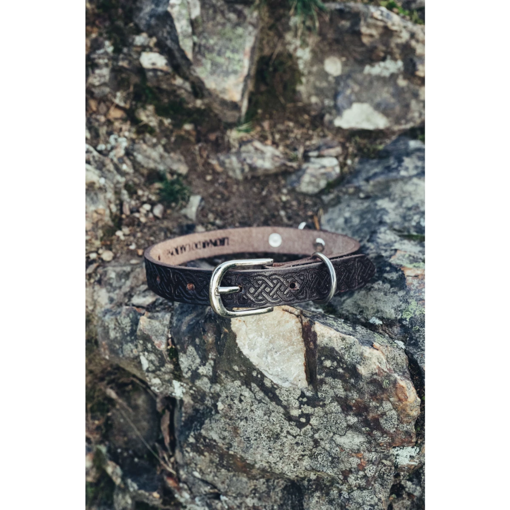 [1438d] Hundehalsband "Maddox" mit keltischer Punzierung Dunkelbraun 26-43 cm
