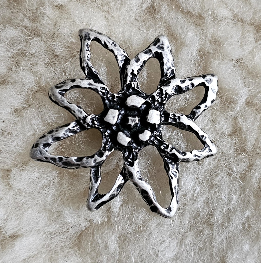 EDELWEISS outline, Fb:silber,Beschlag