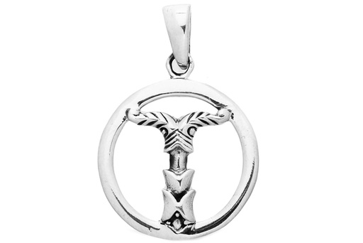 [av34] Anhänger IRMINSUL KREIS aus Silber – Germanisches Weltsäulen Amulett 2,9 cm